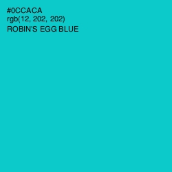#0CCACA - Robin's Egg Blue Color Image
